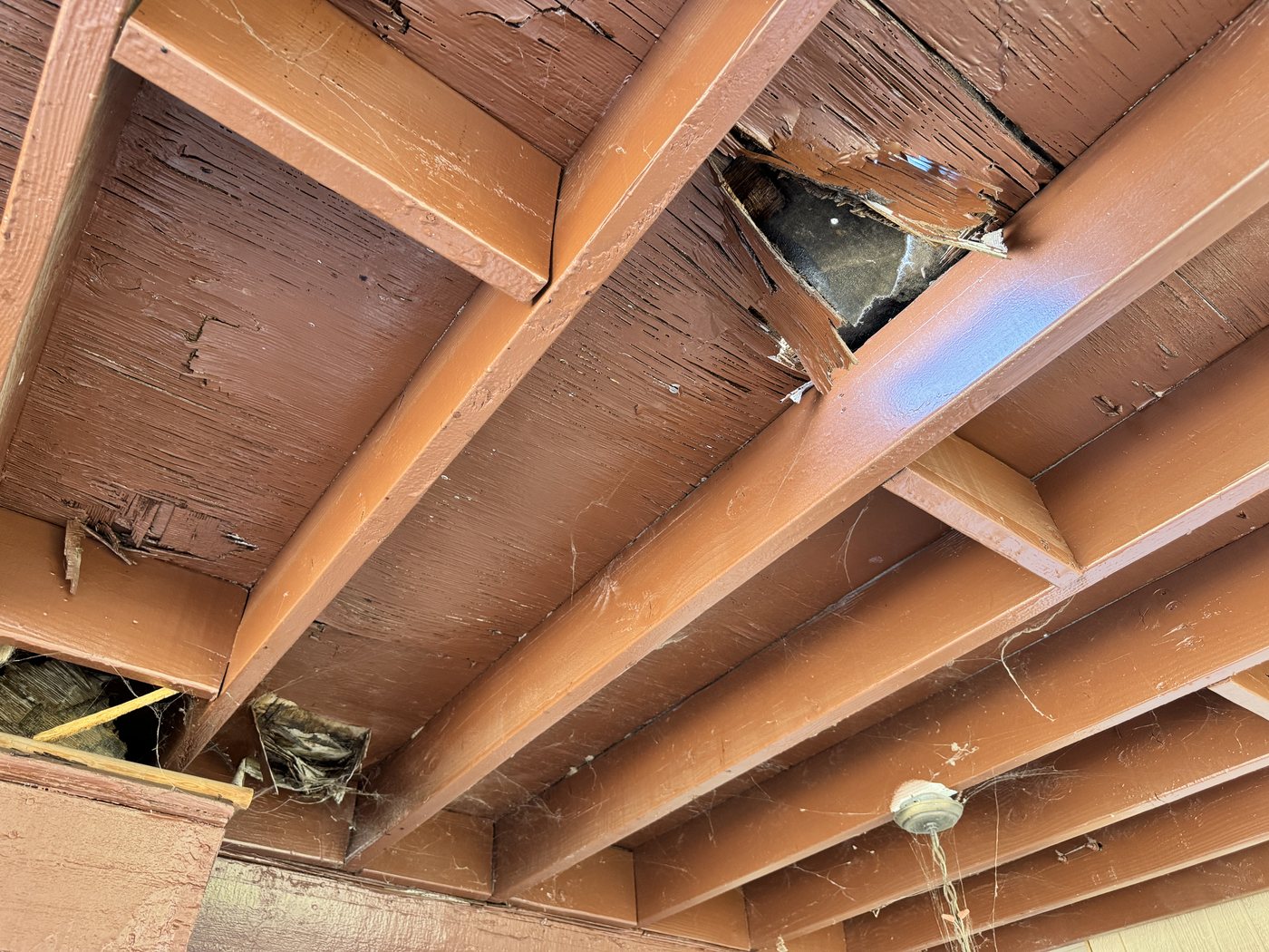 Patio roof deck rotted through with holes from water penetration in Riverside