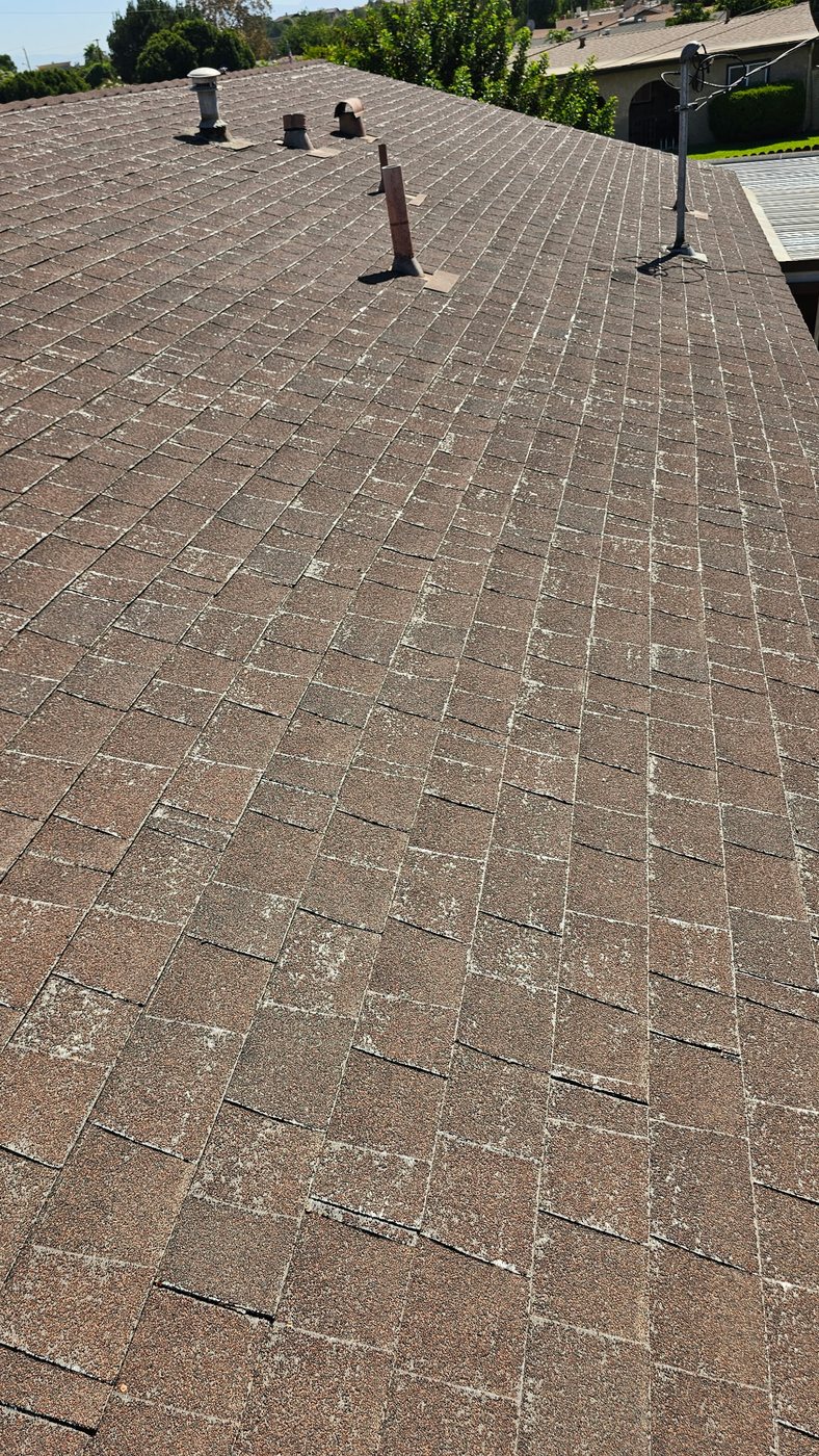 Shingle roof with heavy granule loss and fiberglass showing in Riverside