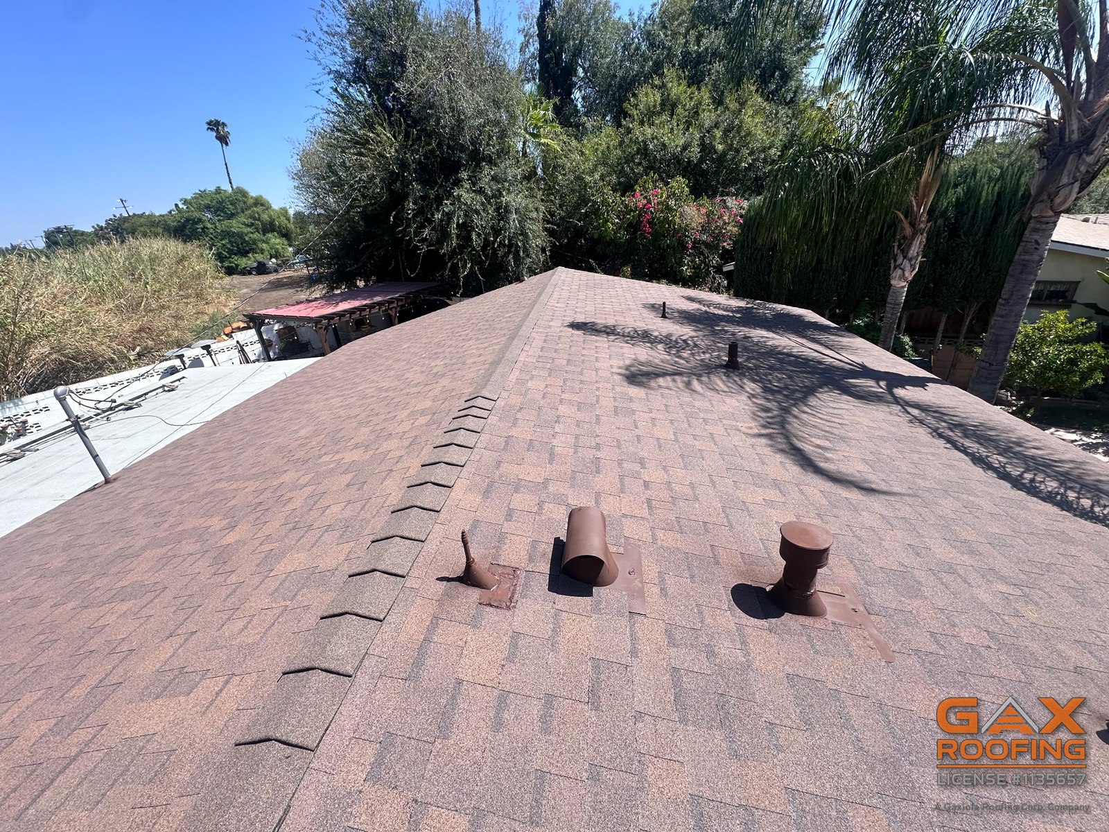 Techo de shingle nuevo en West Covina con los tubos y ventilas pintados al tono del shingle, palmeras detr&aacute;s de la casa