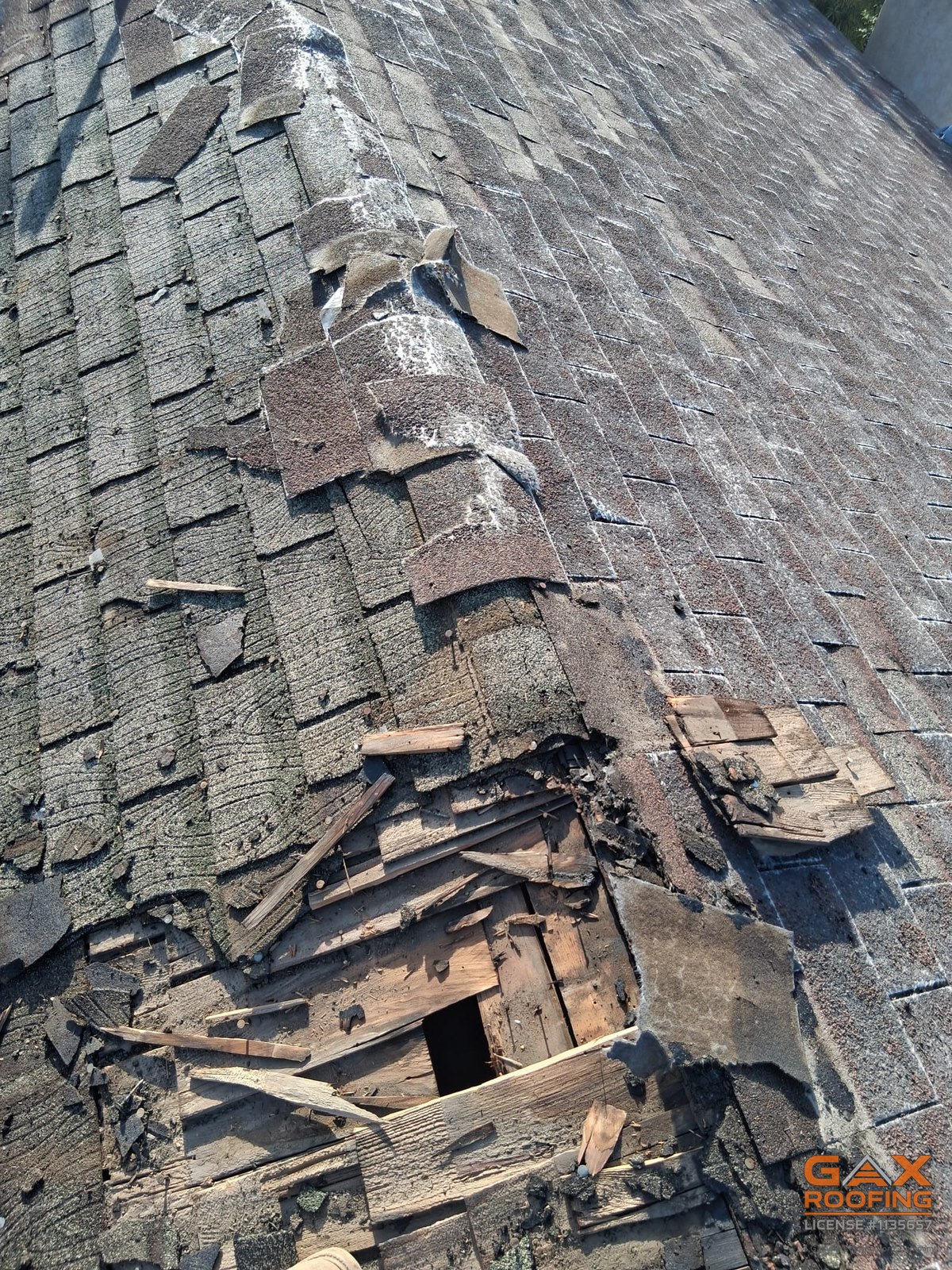 The old shingle field in Colton before tear-off, hiding the original wood shake underneath