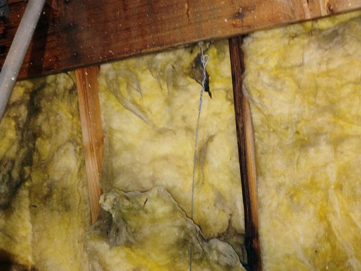 Dark water staining along a roof rafter and into the insulation, found during an attic inspection in Azusa